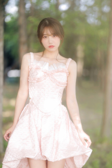 秘密女搜查官系列